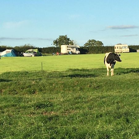 Carreg Y Gwynt Campsite - Touring And Tent Pitches Hotel Llanarth  Exterior photo